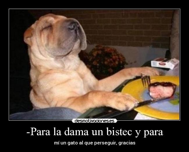 -Para la dama un bistec y para - mí un gato al que perseguir, gracias