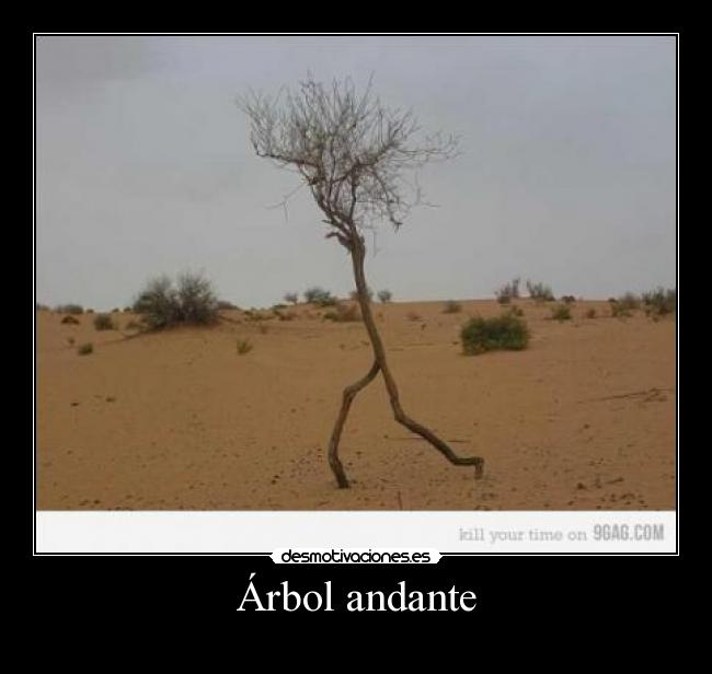 Árbol andante -