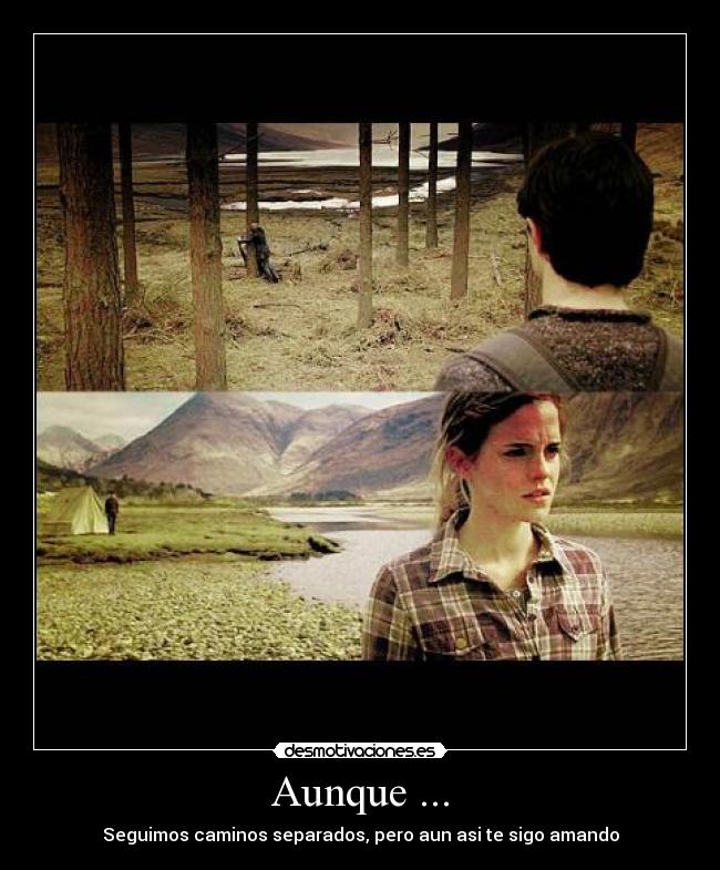 carteles harry hermione desmotivaciones