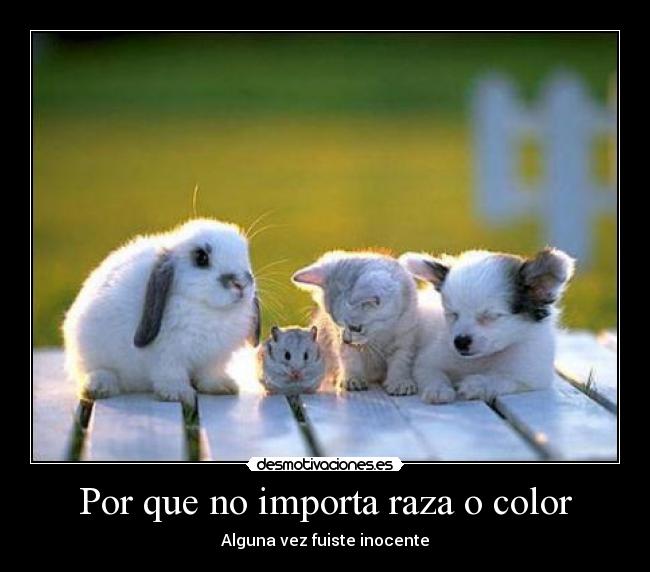 Por que no importa raza o color - Alguna vez fuiste inocente