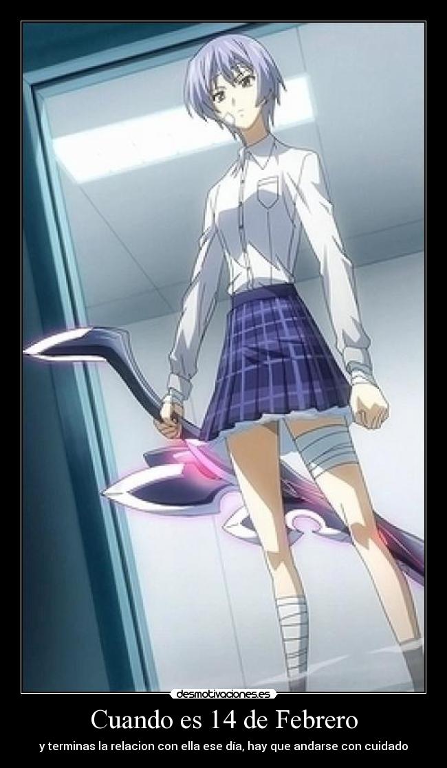 Cuando es 14 de Febrero - 