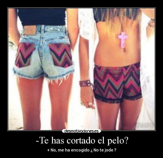 -Te has cortado el pelo? - + No, me ha encogido ¿ No te jode ?