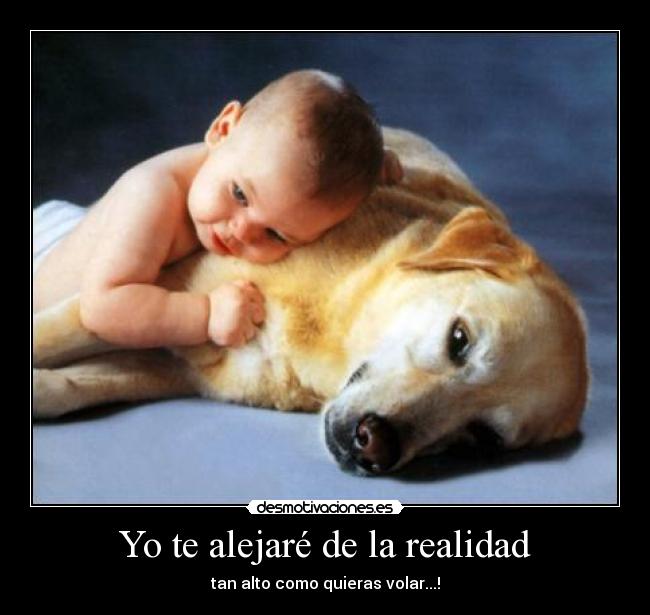 Yo te alejaré de la realidad - tan alto como quieras volar...!