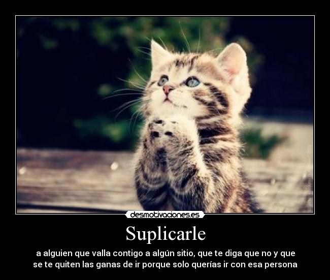 Suplicarle - a alguien que valla contigo a algún sitio, que te diga que no y que
se te quiten las ganas de ir porque solo querías ir con esa persona