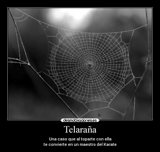 Telaraña - Una caso que al toparte con ella
te convierte en un maestro del Karate