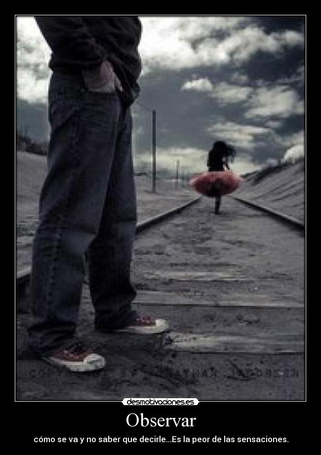 Observar -