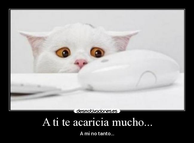 A ti te acaricia mucho... -