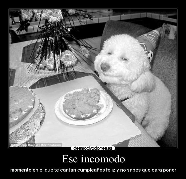 Ese incomodo - momento en el que te cantan cumpleaños feliz y no sabes que cara poner