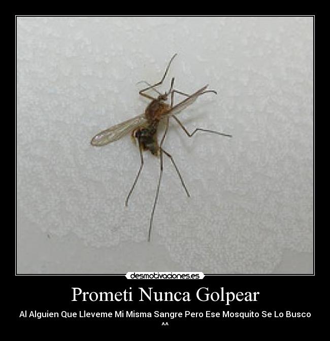 Prometi Nunca Golpear - Al Alguien Que Lleveme Mi Misma Sangre Pero Ese Mosquito Se Lo Busco ^^
