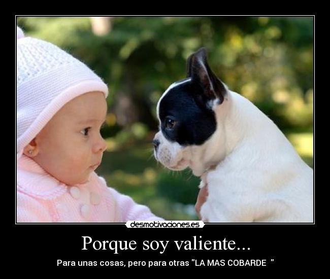 carteles ninguna desmotivaciones