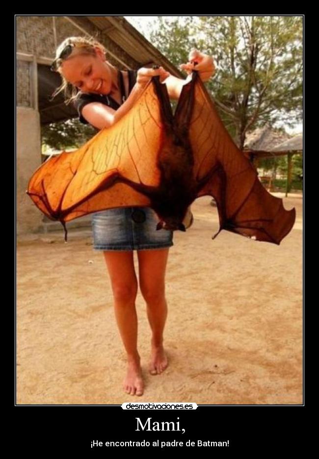 Mami, - ¡He encontrado al padre de Batman!