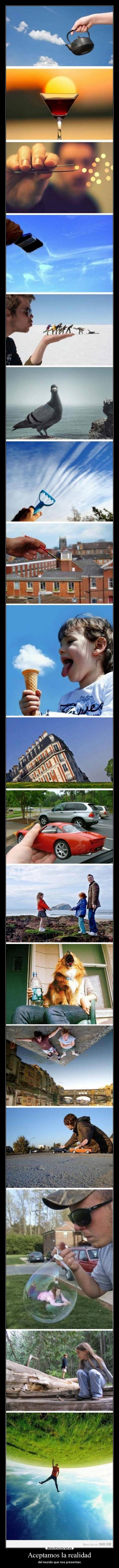 Aceptamos la realidad -