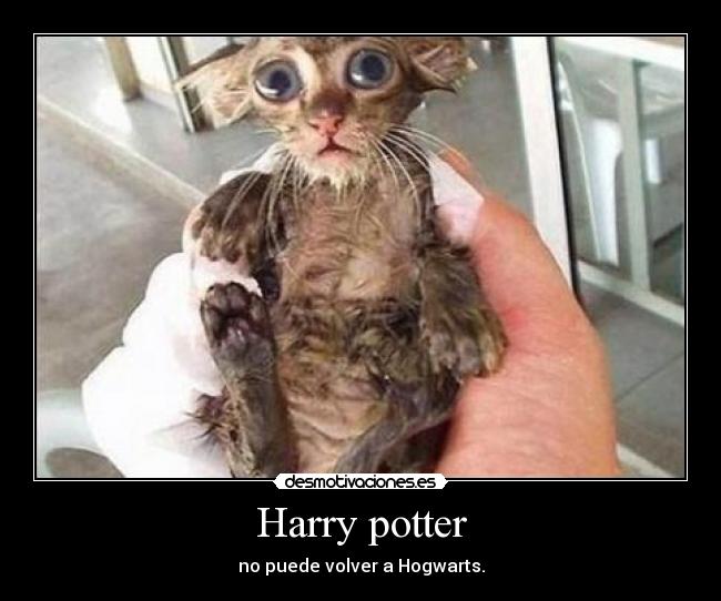 Harry potter - 