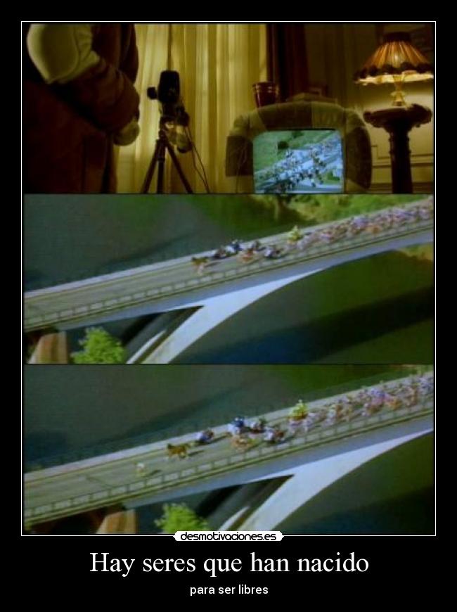 Hay seres que han nacido - 