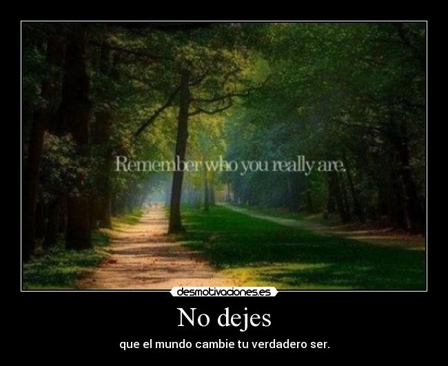 No dejes - 
