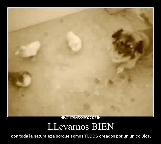 LLevarnos BIEN - 