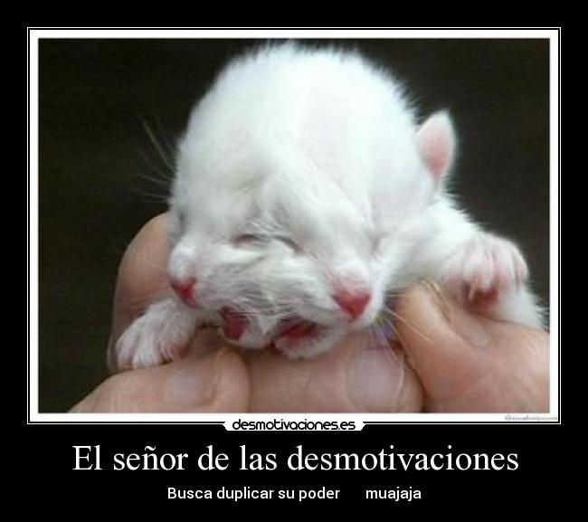 El señor de las desmotivaciones -