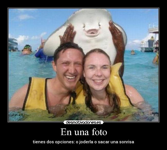 carteles mantarraya jajaja esto sera jodefoto desmotivaciones