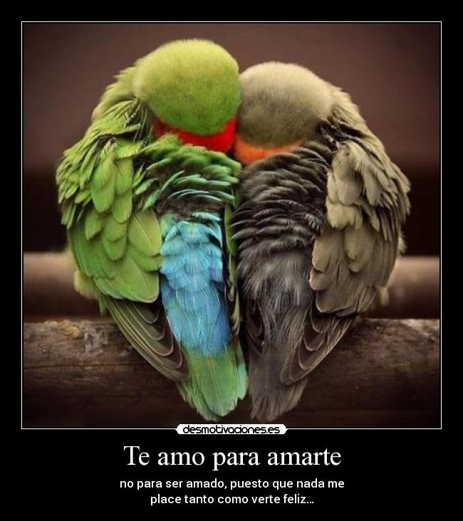 Te amo para amarte - no para ser amado, puesto que nada me
place tanto como verte feliz…