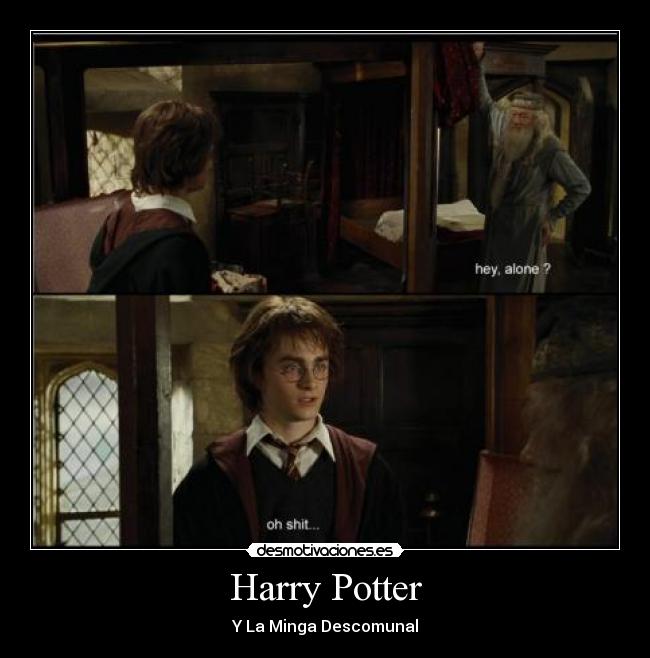 Harry Potter - Y La Minga Descomunal