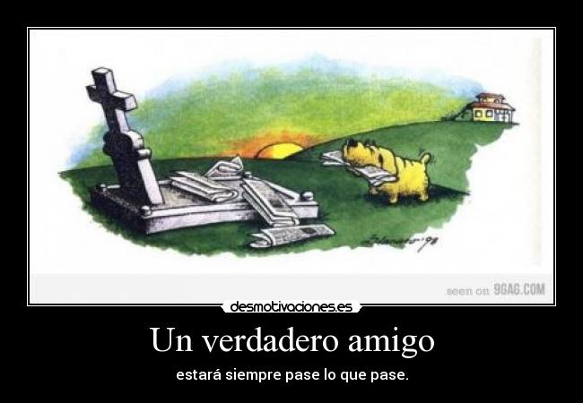 carteles dragonshape subiendo gilipolleces clase informatica you know what mean desmotivaciones