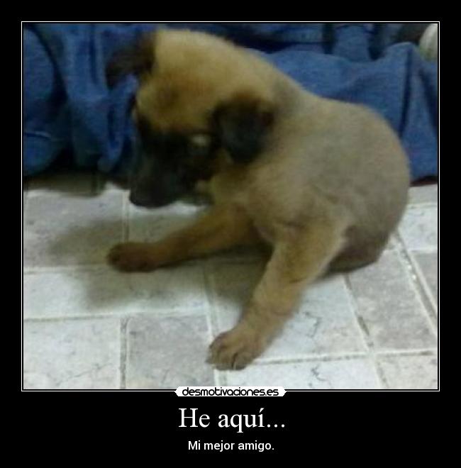 He aquí... - Mi mejor amigo.