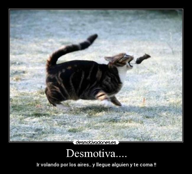 Desmotiva.... - Ir volando por los aires.. y llegue alguien y te coma !!