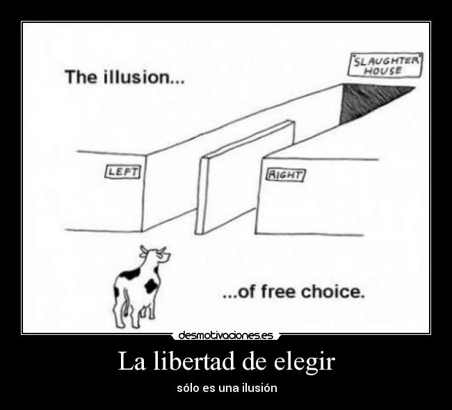 La libertad de elegir - sólo es una ilusión