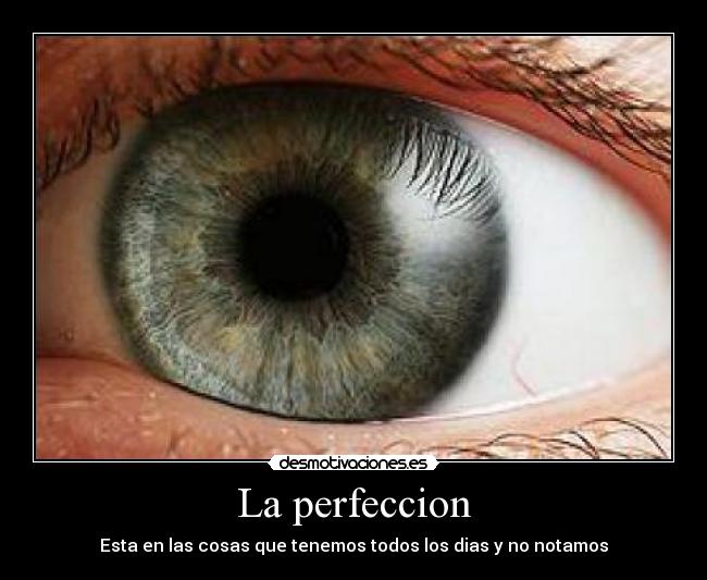 La perfeccion - 