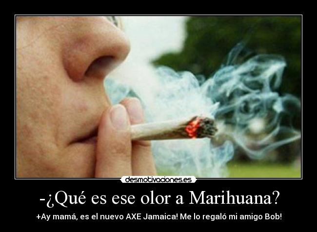 -¿Qué es ese olor a Marihuana? -