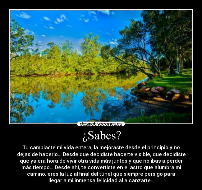 ¿Sabes? - Tu cambiaste mi vida entera, la mejoraste desde el principio y no
dejas de hacerlo... Desde que decidiste hacerte visible, que decidiste
que ya era hora de vivir otra vida más juntos y que no ibas a perder
más tiempo... Desde ahí, te convertiste en el astro que alumbra mi
camino, eres la luz al final del túnel que siempre persigo para
llegar a mi inmensa felicidad al alcanzarte...