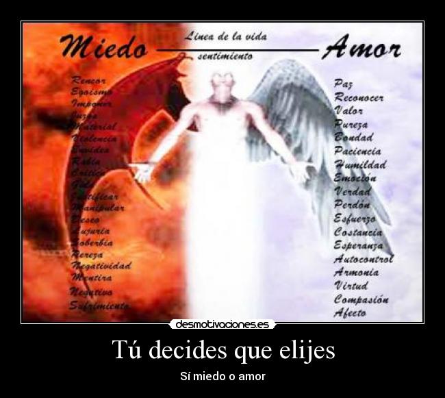 carteles tu decides que elijes desmotivaciones