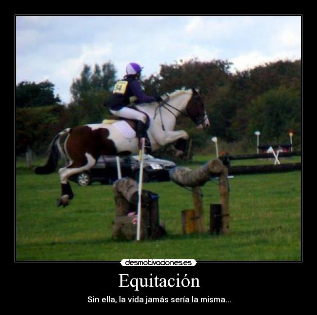 Equitación - Sin ella, la vida jamás sería la misma...