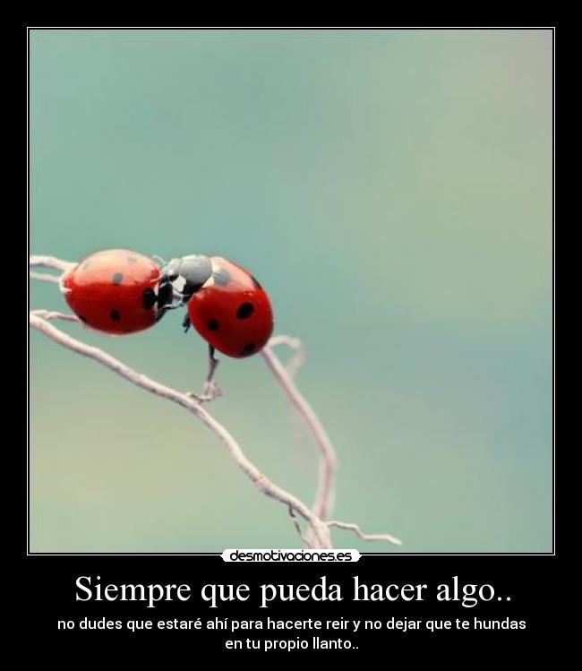 carteles miisterpallbearer desmotivaciones