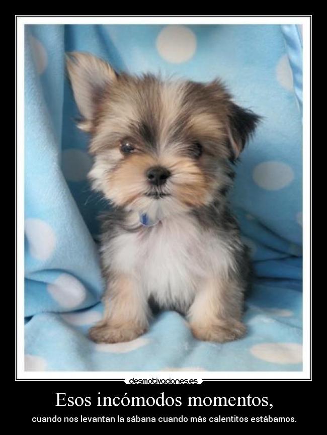 Esos incómodos momentos, - 