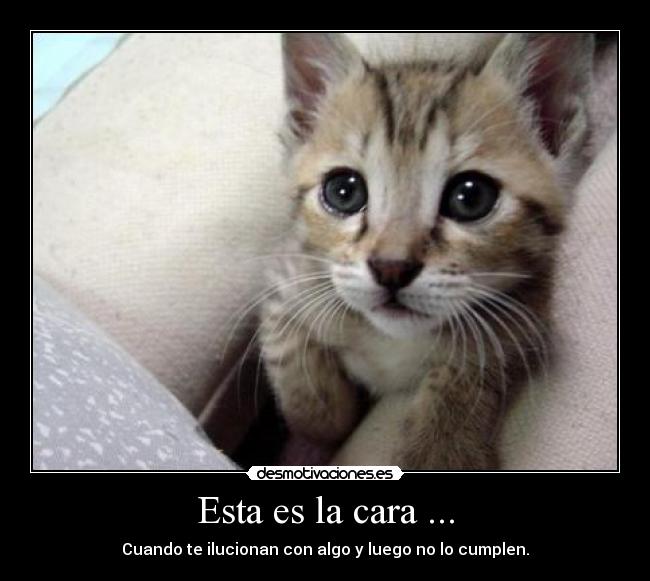Esta es la cara ... - Cuando te ilucionan con algo y luego no lo cumplen.