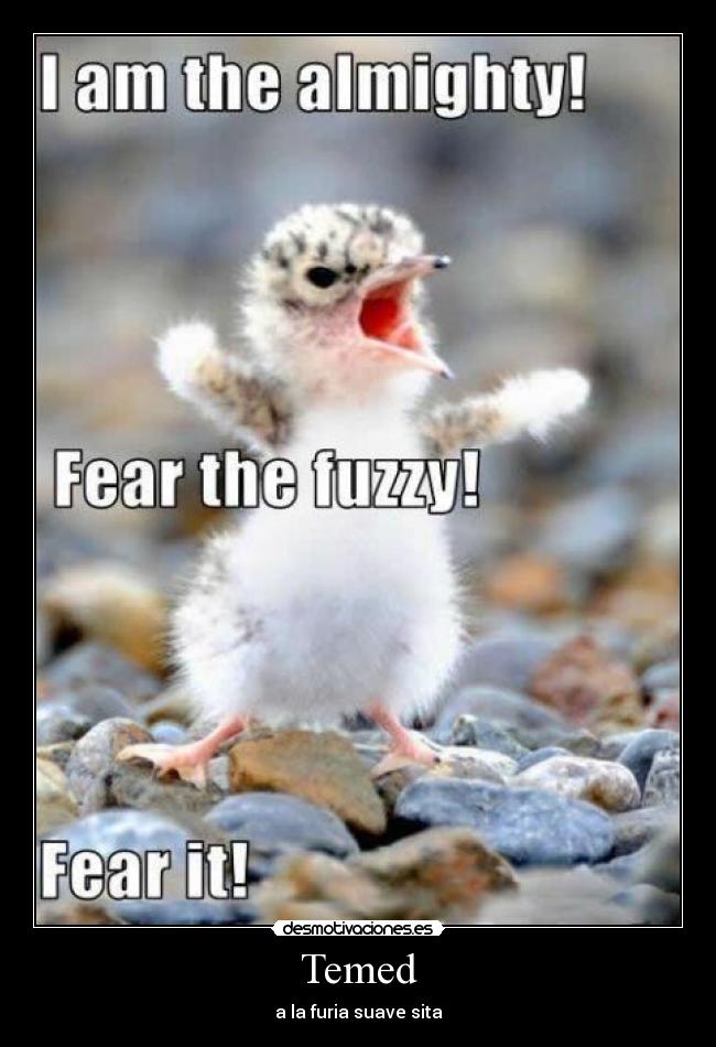 carteles temed desmotivaciones