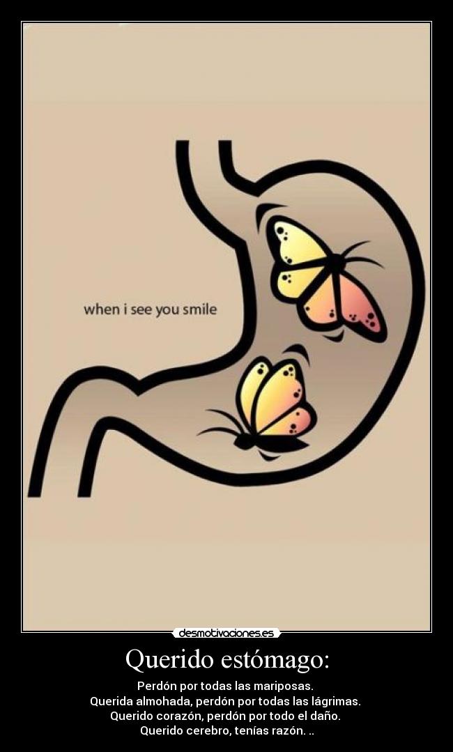 Querido estómago: -