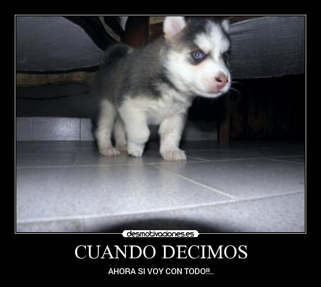 CUANDO DECIMOS - AHORA SI VOY CON TODO!!..