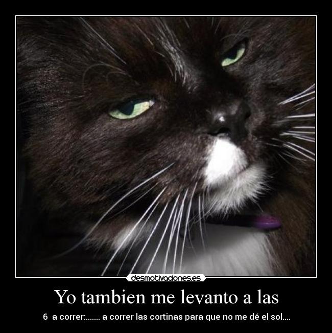 Yo tambien me levanto a las - 