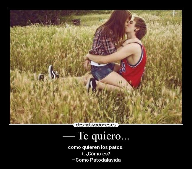 — Te quiero... - como quieren los patos.
+.¿Cómo es?
—Como Patodalavida♥
