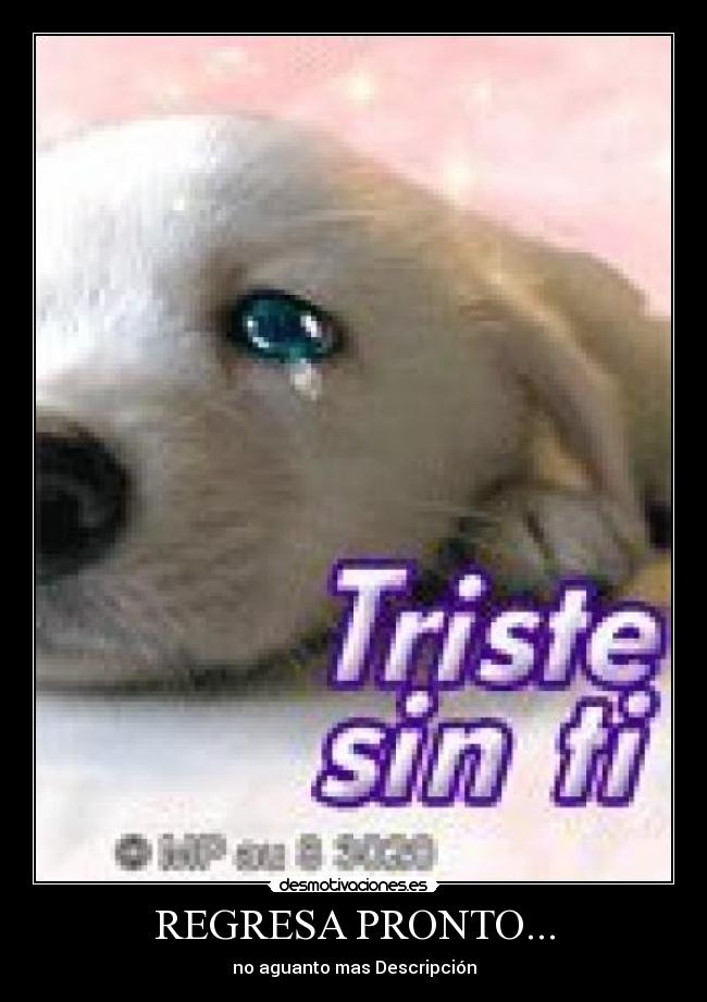 REGRESA PRONTO... - no aguanto mas Descripción
