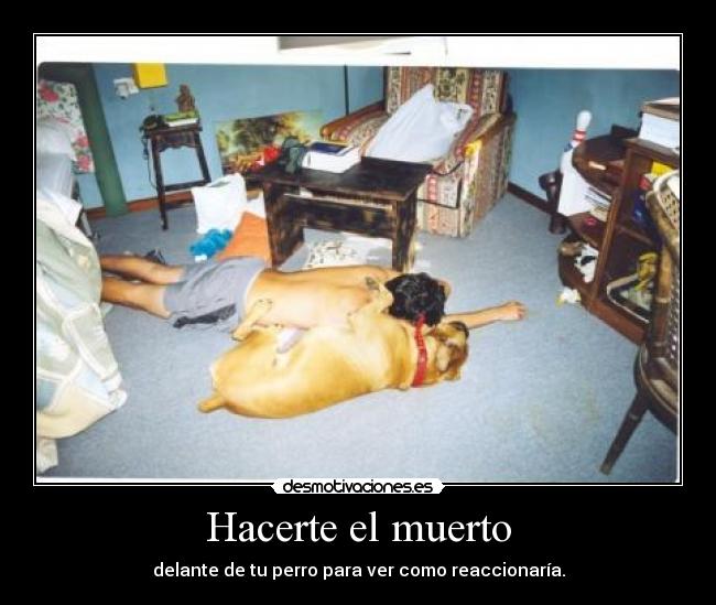 Hacerte el muerto -