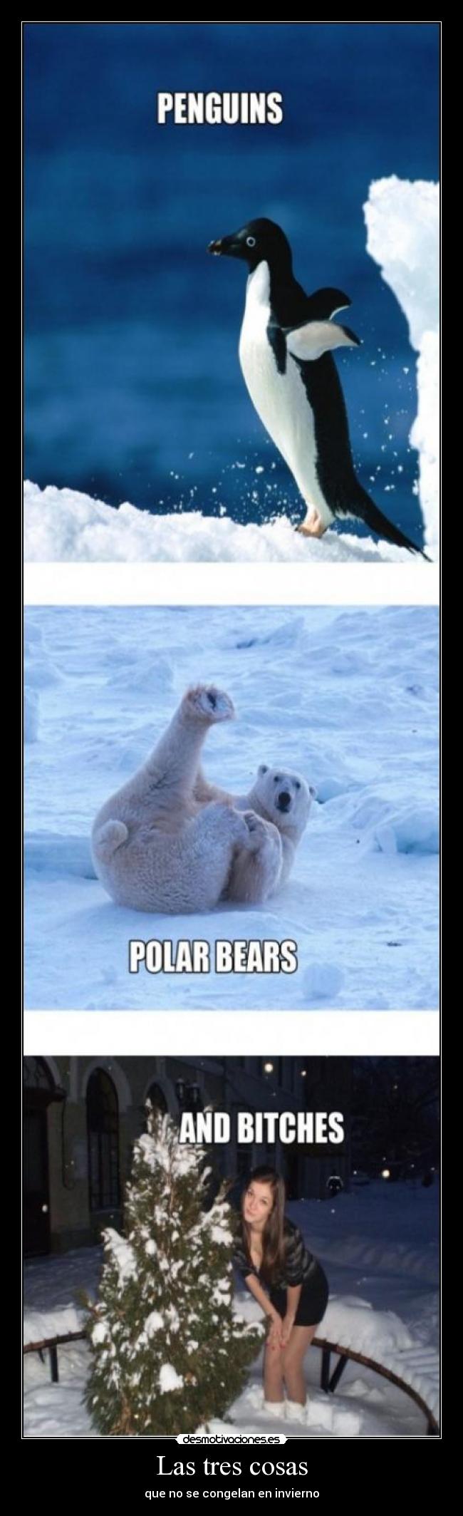 Las tres cosas - que no se congelan en invierno