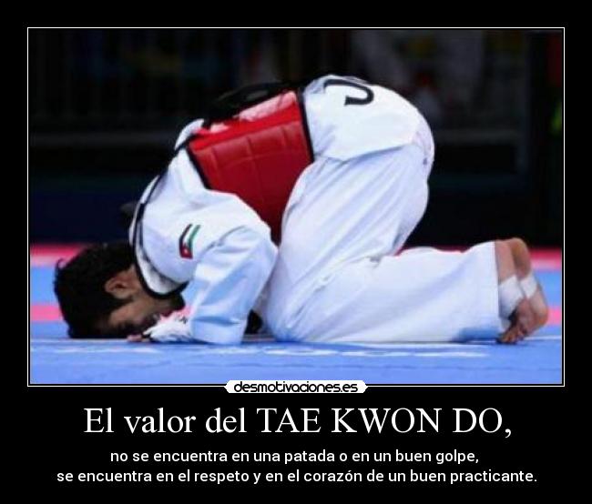 El valor del TAE KWON DO, -