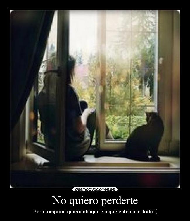No quiero perderte - 