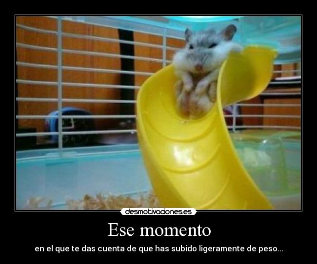 Ese momento - en el que te das cuenta de que has subido ligeramente de peso...