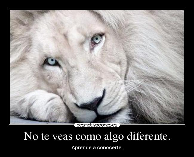 No te veas como algo diferente. - Aprende a conocerte.