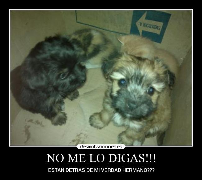 carteles mundo desmotivaciones