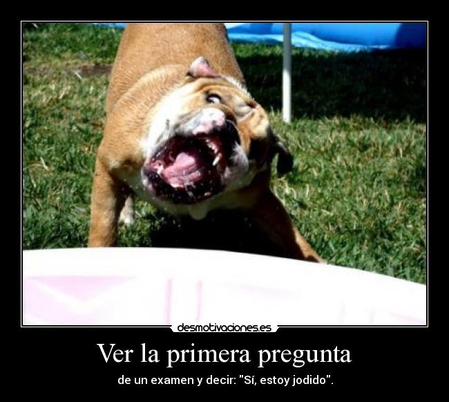 Ver la primera pregunta - 